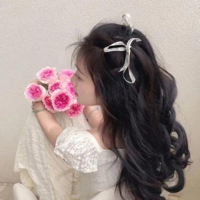 阿里格尔海报